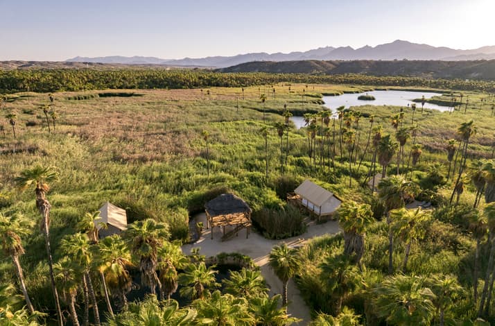 Journey to the heart of Mexico's Sierra de la Laguna biosphere