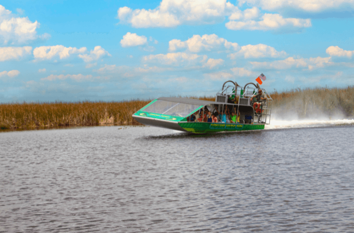 Discover the city and wetlands on a Miami and Everglades combo tour