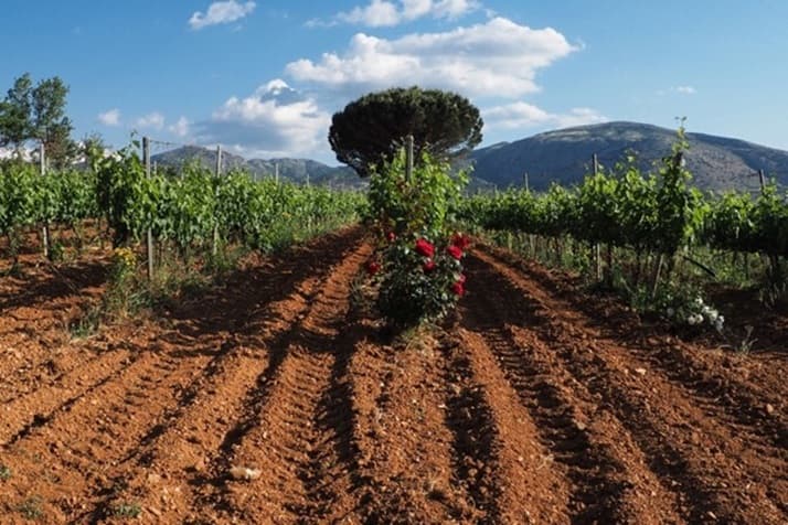 Discover Arcadia on a two-day tour along the Menalon Trail