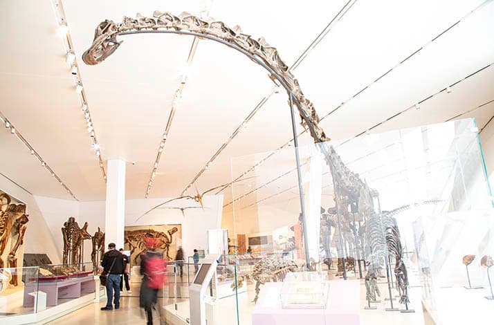 Discover the treasures of ROM on a private tour with a gift to take home