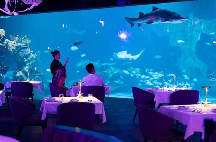 Soak in privileged treatment at Asia's largest underwater restaurant