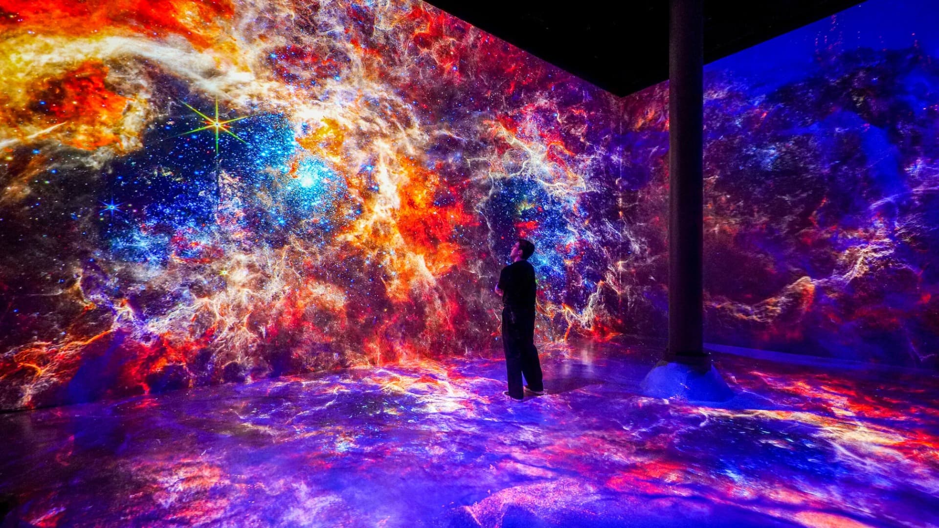ARTECHOUSE Immersive Art Experience for One