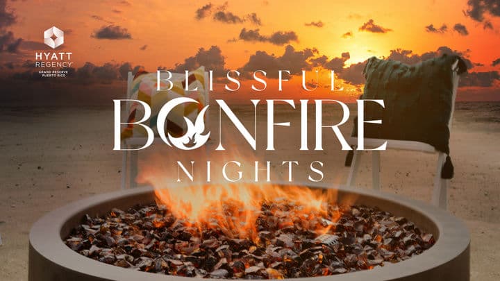 Blissful Bonfire Nights