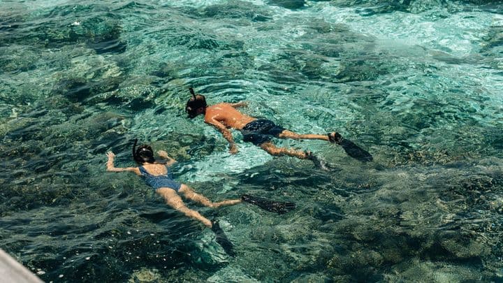 House Reef Guided Snorkeling