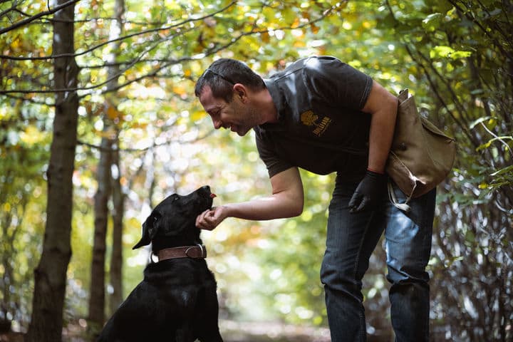 Hungarian Truffle Hunt