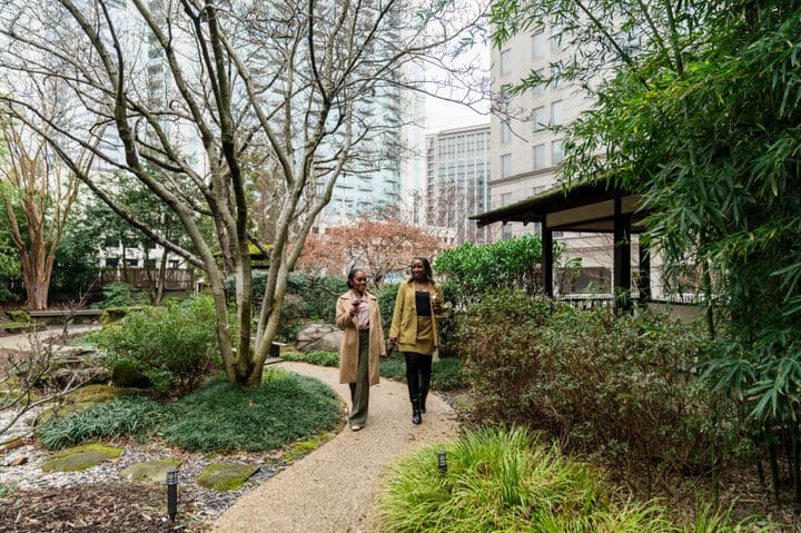 Enjoy our Japanese Zen Garden